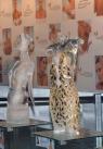 exposicao-vestido-de-ouro-no-gelo